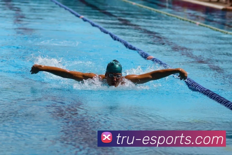 体育下注平台生态图