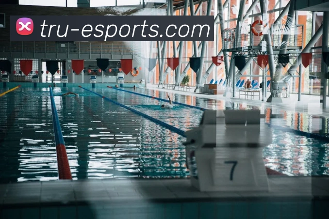 企业概况